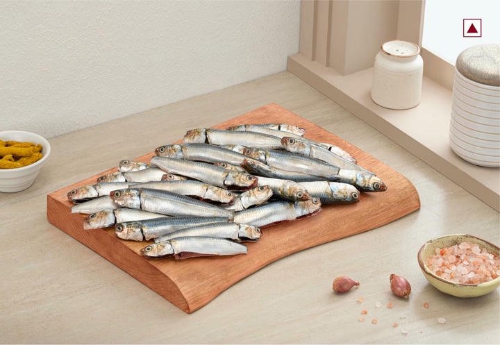 SARDINESS SARDINES - Image 1