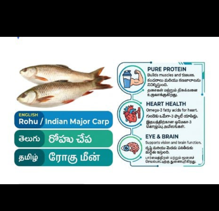 Screenshot_20260331-221417 Rohu - Image 1